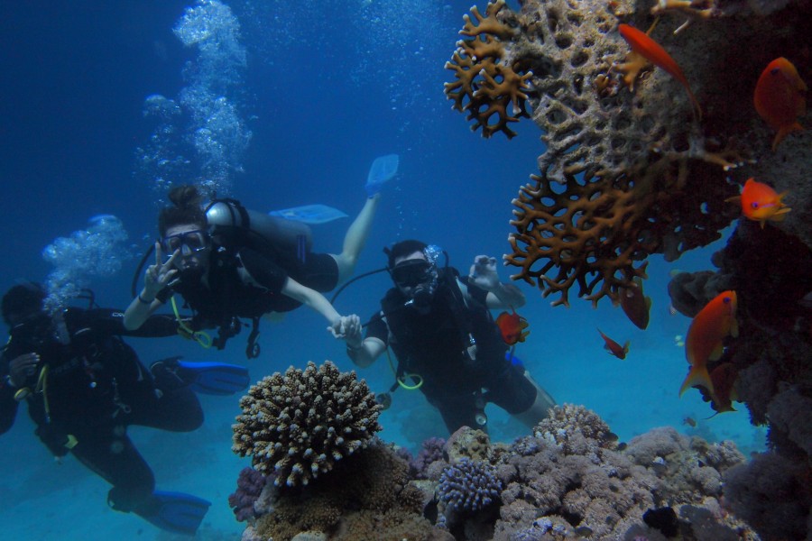 Tout savoir les écoles de plongée sous-marine